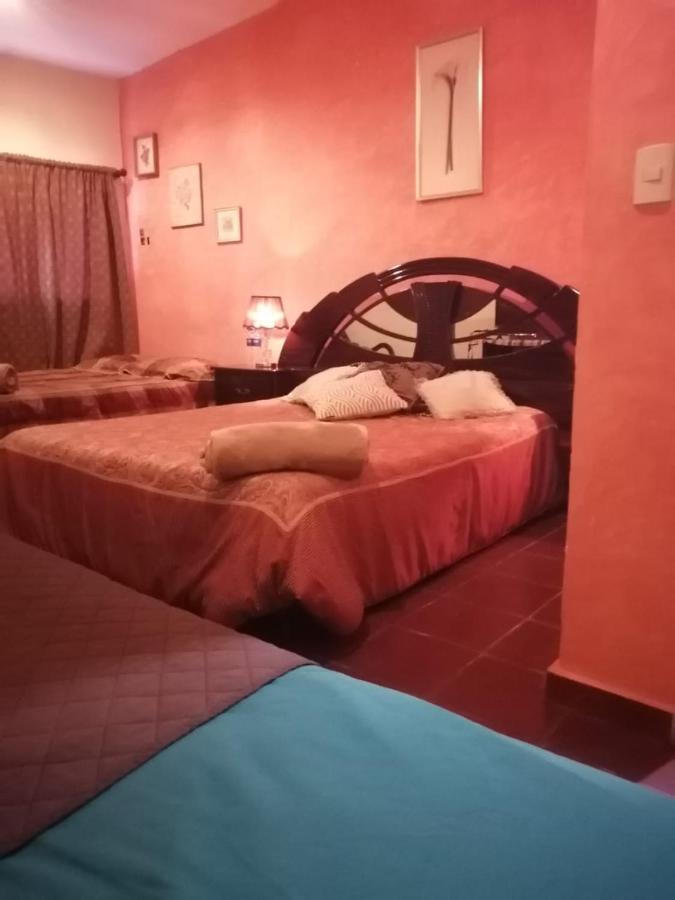 Portal De Los Farolitos Concepción de Ataco Exteriör bild